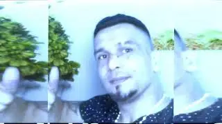 Predica Y Ense&ntilde;anza - Que es un Evangelista