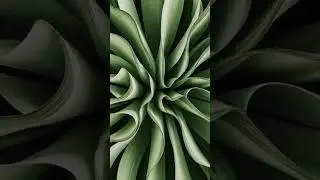 Ethnoscape Art | Verdant Mist Dance #ethnoscapeart #visualart #tv