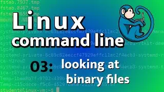 LCL 03 — просмотр двоичных файлов с помощью xxd и file — руководство по использованию командной с...