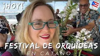 Weekend Festival In Puerto Rico | Festival de Orquideas en Cata&ntilde;o