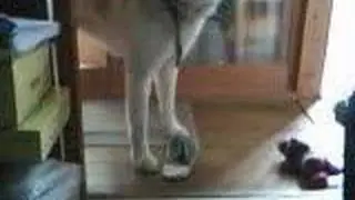 KinCam 2