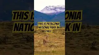 Наше 1247-километровое путешествие по чилийской трассе Carretera Austral: часть 7 &mdash; Национальный ...