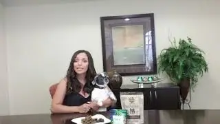 CBD Dog Treats - Wholesale Animal Health by Global Cannabinoids