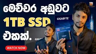 Best Budget SSD 1TB Srilanka Sinhala | Gigabyte 1TB SSD Winsoft