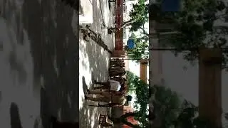 Etah News मारहरा से बीजेपी विधायक वीरेन्द्र लोधी की दबंगई Video वायरल
