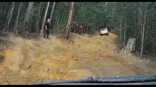 FJ Perspective -  Watagans