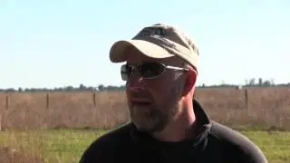 The Nature Conservancy brings bison herd to Kankakee Sands