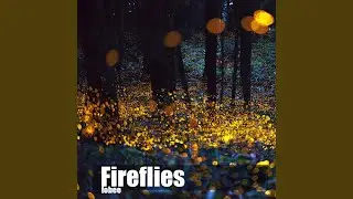 Fireflies