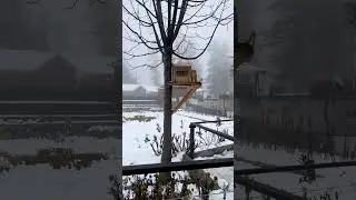 Pipe Park Shogran #foryou #song #love #narankagan #travel #tour #trip #love #nature #reels #shorts