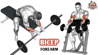 Get Veiny Forearms & Big Biceps 💪 Gym Arm Workout (6 Exercises)