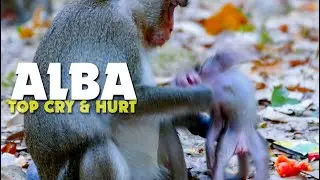 OH NO!!! Alba Super Cry Because Mum Warning So Hard - Anna Mistreat Little Alba Every Time