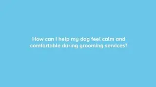 How to Have a Great Dog Grooming Experience - PetSmart