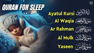 Serene Quran Recitation for Serenity & Humility | Fatiha, Ayatul Kursi, Mulk, Yasin, Ar Rahman