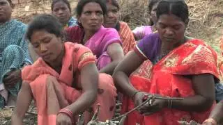ICCo Thematic video