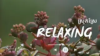 Relaxing Music with Beautiful Garden & Flowers 🌸 Calm Nature Sounds for Stress Relief, Sleep & Study
