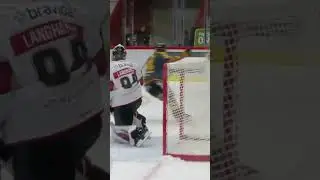 Snyggt m&aring;l av Andreas Johnson (Skellefte&aring; AIK mot Malm&ouml; Redhawks i SHL i Sverige) (#Shorts)