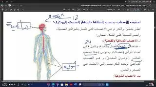 شرح الدرس الخامس من الجهاز العصبي( الجهاز العصبي المحيطي)الجزء الثاني
