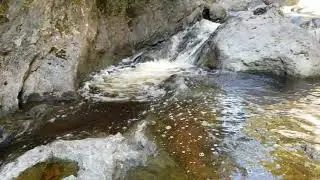 MacIntosh Brook Fall, Cape Breton Island