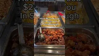 How Much Food $20 Gets You In Scarborough Toronto