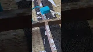 lets fix my shoji doors diy style #shorts #envtubers #vtuber #shoji #japan #japanese