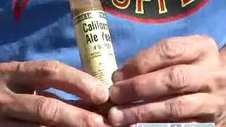 Adding the Yeast to Home Brewed Beer