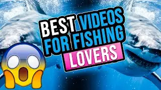 Best videos for fishing lovers 😂😱😱🐬