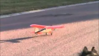 NENO 2014 CAT CUB ALTIMETER1