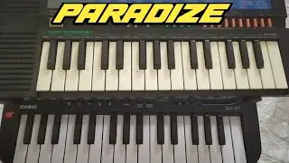 NOT PIANO PARADIZE  COVER CASIO SA11
