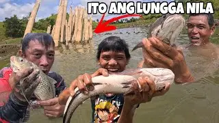 GRABE MALALAKI MGA ISDA SA KAWAYAN NATO! NATUNTON NAMIN LUNGGA NILA😱