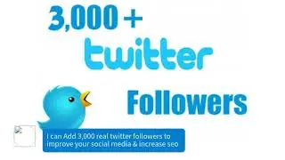 Add 3,000 real twitter followers to improve social media & increase seo