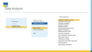 Tally Paperless Audit