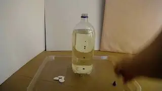 Teacher Sue Makes a Lava Bottle