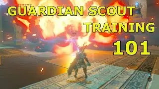 Zelda BOTW: How to Pass ANY Major Test of Strength for Every Player