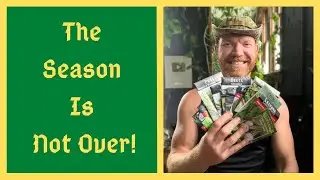 Mid September Zones 4 thru 7 - Plant THESE Seeds NOW -  You Still Have Time!