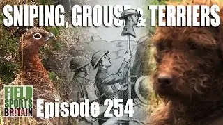 Fieldsports Britain - Sniping, Grouse & Terriers