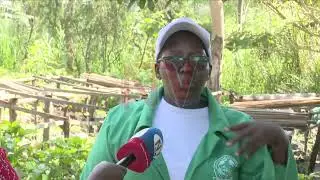 How Masindi woman Is changing lives through tree planting