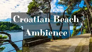 Spend 30 Minutes in Croatia Ambience with Sea, Seagull and Cricket Sounds for a Calming Day