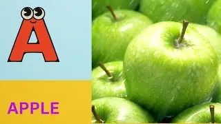 ABC Phonics Song | Alphabet letter sounds | ABC learning for toddlers | Education ABC Nursery Rhymes