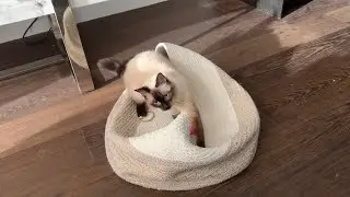 Only child playing.
