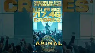 animal 16day worldwide Box office collection #viral #bollywood #ani