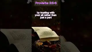 Proverbs 3:5-6 - Bible Verse Explained