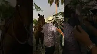José Gregorio Oquendo - Es Diferente EN VIVO