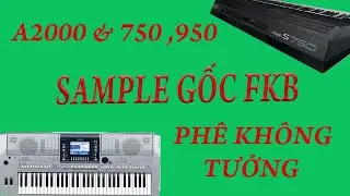 C&Agrave;I SAMPLE GỐC FKB CHO Đ&Agrave;N 750 , A2000 V&Agrave; 950 | &Acirc;M THANH CỰC KHỦNG