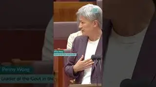 Pauline Hanson suspended from Australian Senate after wearing burqa in chamber