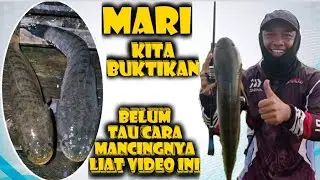 Casting ikan Gabus diparit kecil didalam hutan kalimantan||fishing#ikangabus#gabusmonster #lureampuh
