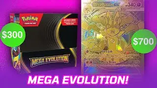 MEGA EVOLUTION ОБЗОР РЫНКА И АНАЛИЗ