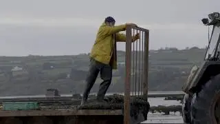 GAA Films: 