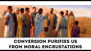 Luke 15:1-10 ( November 7, 2024 ) Daily Catholic Gospel Reading & Reflection ( Conversion Purifies )