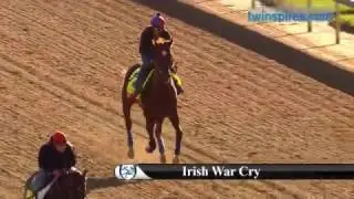 Irish War Cry 2017 Kentucky Derby Hopeful 5.02