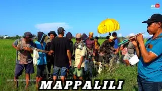 RITUAL TAHUNAN MAPPALILI